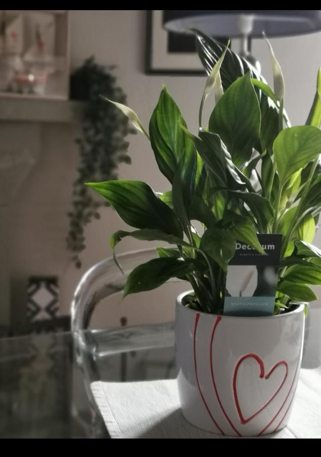 Privilege Dior Floransa Dış mekan fotoğraf